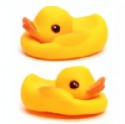 Toy Rubber Duck